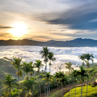 Colombie, mémoire du Nouveau Monde